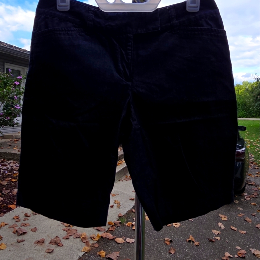 Blue Ann Taylor shorts